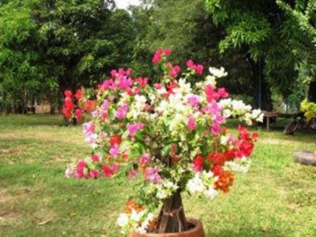 จำปา ลอดจ์ Villa กำปอต ภายนอก รูปภาพ